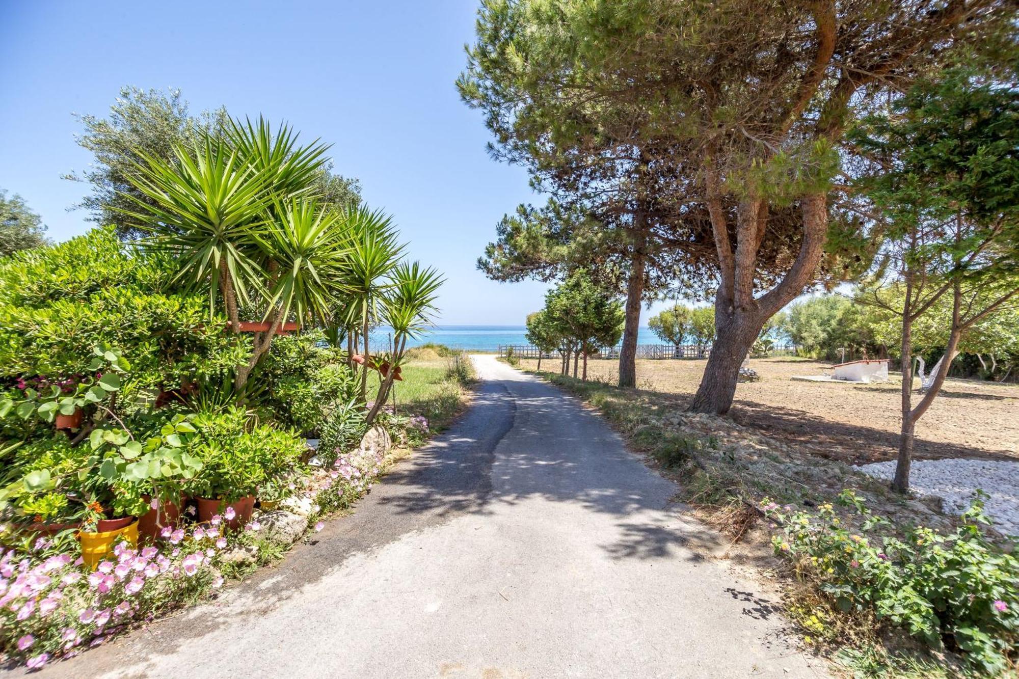 Casa Di Mare - Studios And Apartments On The Beach Vasilikí Exteriér fotografie